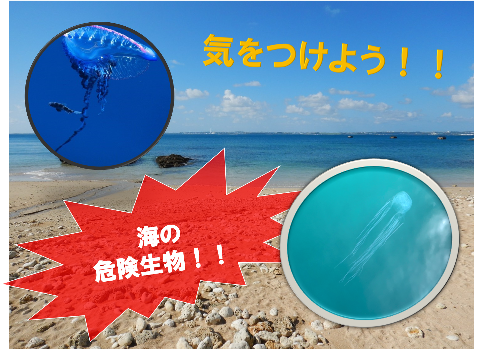 沖縄はまだ夏？気を付けなきゃいけないクラゲについて